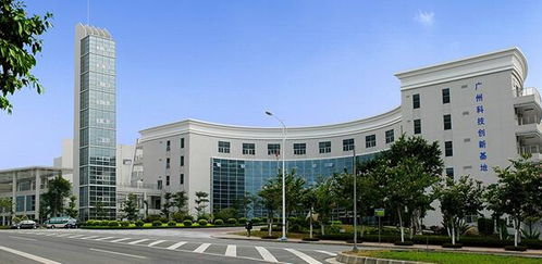 空氣污染致癌風(fēng)險高,綠陽為您健康保駕護航